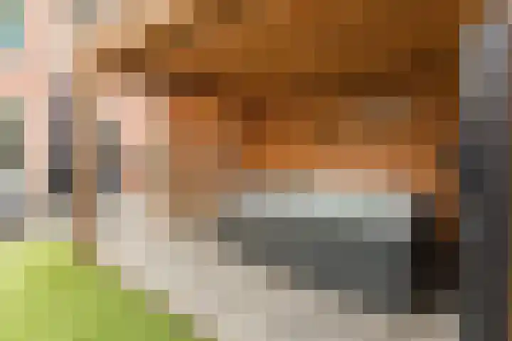 Spreeuwendonk 77 Veghel thumbnail 38