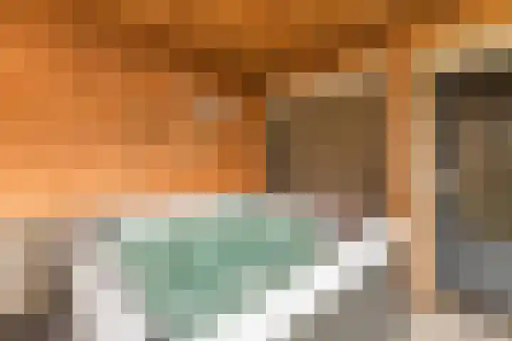 Spreeuwendonk 77 Veghel thumbnail 39