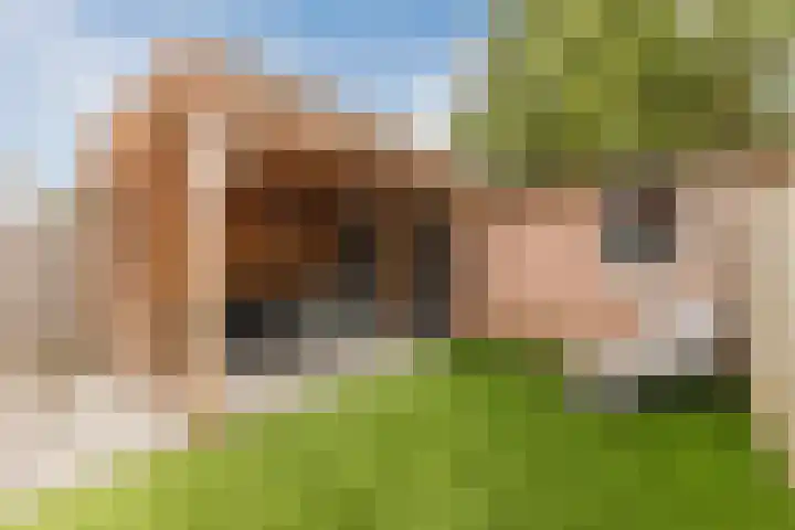 Spreeuwendonk 77 Veghel thumbnail 40