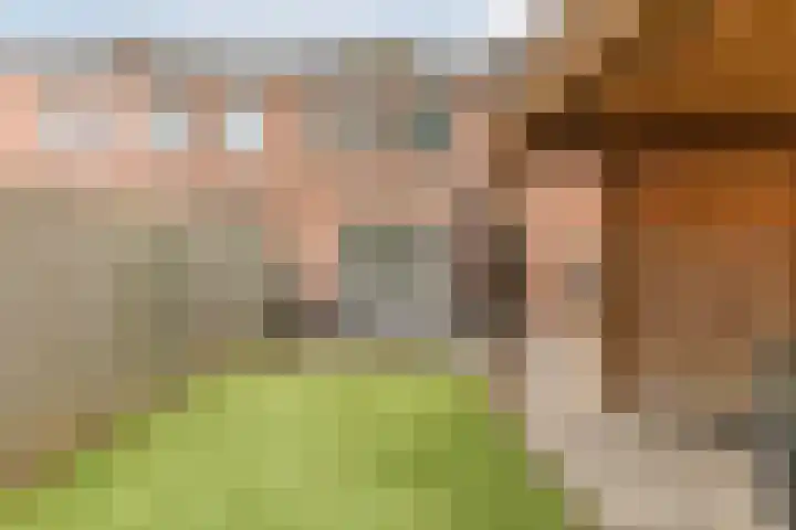 Spreeuwendonk 77 Veghel thumbnail 42
