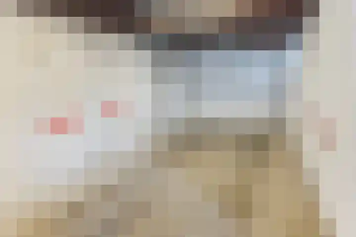 Spreeuwendonk 77 Veghel thumbnail 43