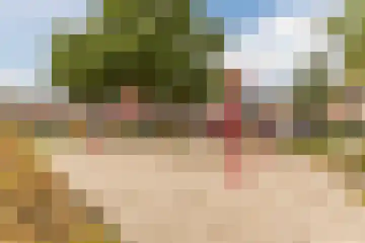 Spreeuwendonk 77 Veghel thumbnail 46