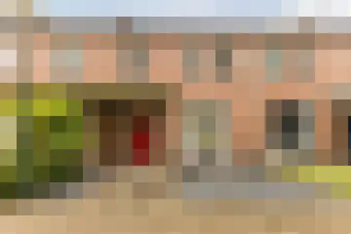 Spreeuwendonk 77 Veghel thumbnail 5