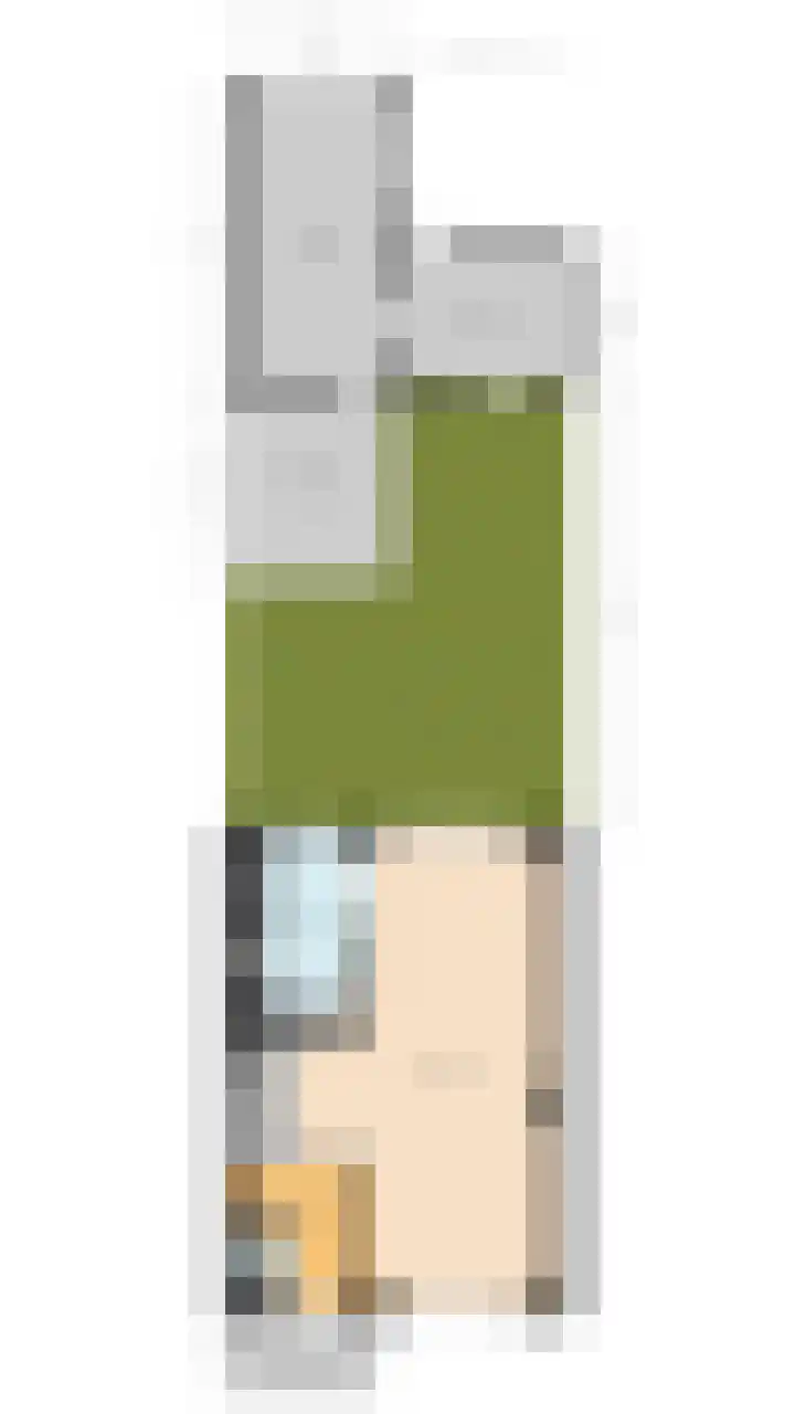 Spreeuwendonk 77 Veghel thumbnail 50