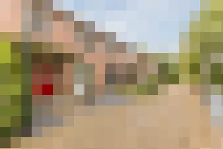 Spreeuwendonk 77 Veghel thumbnail 6