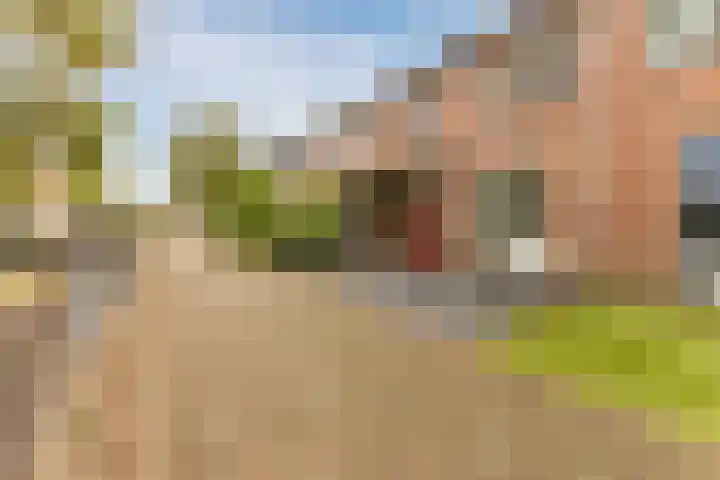 Spreeuwendonk 77 Veghel thumbnail 7