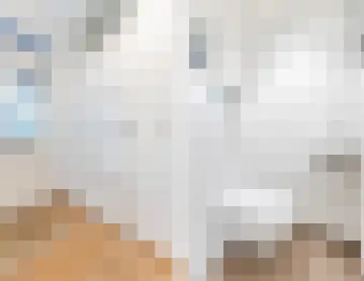 Spreeuwendonk 77 Veghel thumbnail 9