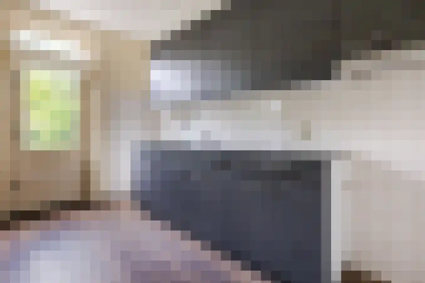 Spreeuwendonk 78 Veghel thumbnail 11