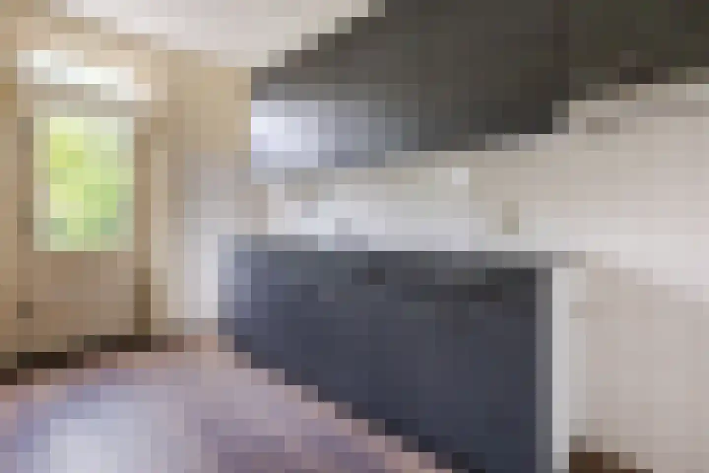 Spreeuwendonk 78 Veghel thumbnail 11