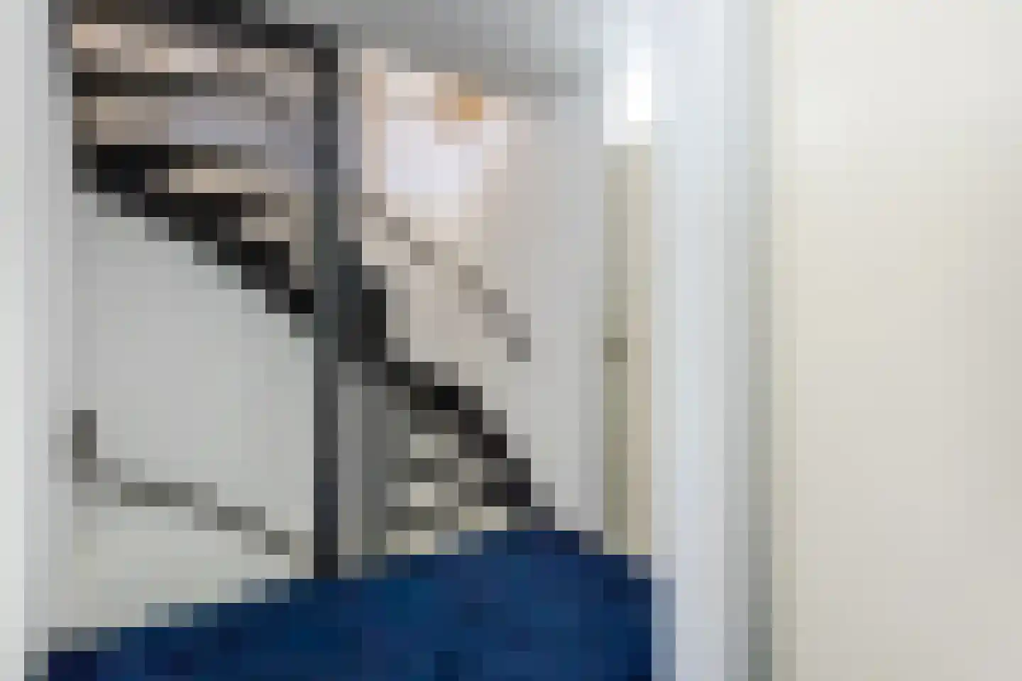 Spreeuwendonk 78 Veghel thumbnail 21