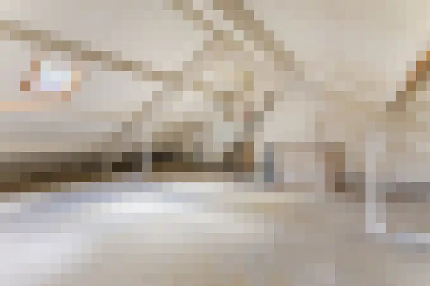 Spreeuwendonk 78 Veghel thumbnail 22