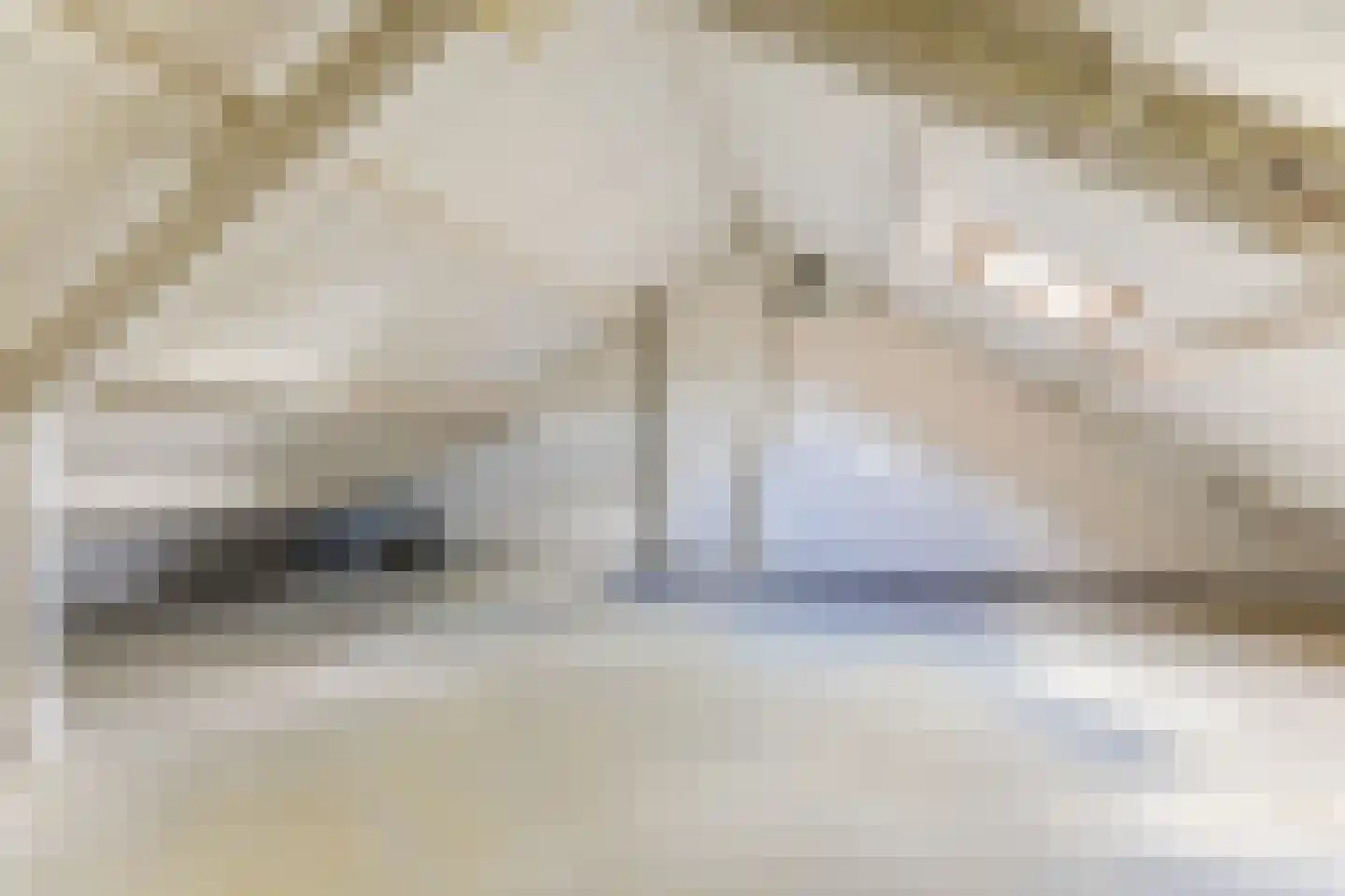 Spreeuwendonk 78 Veghel thumbnail 23