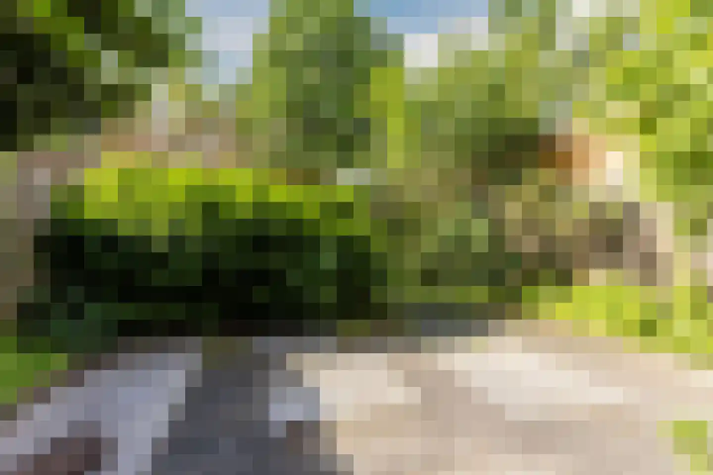 Spreeuwendonk 78 Veghel thumbnail 25