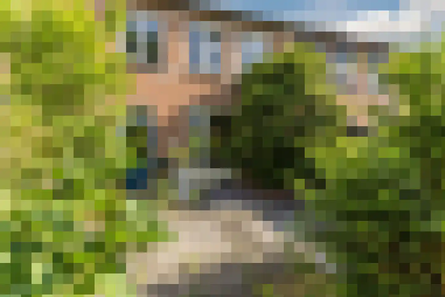 Spreeuwendonk 78 Veghel thumbnail 26