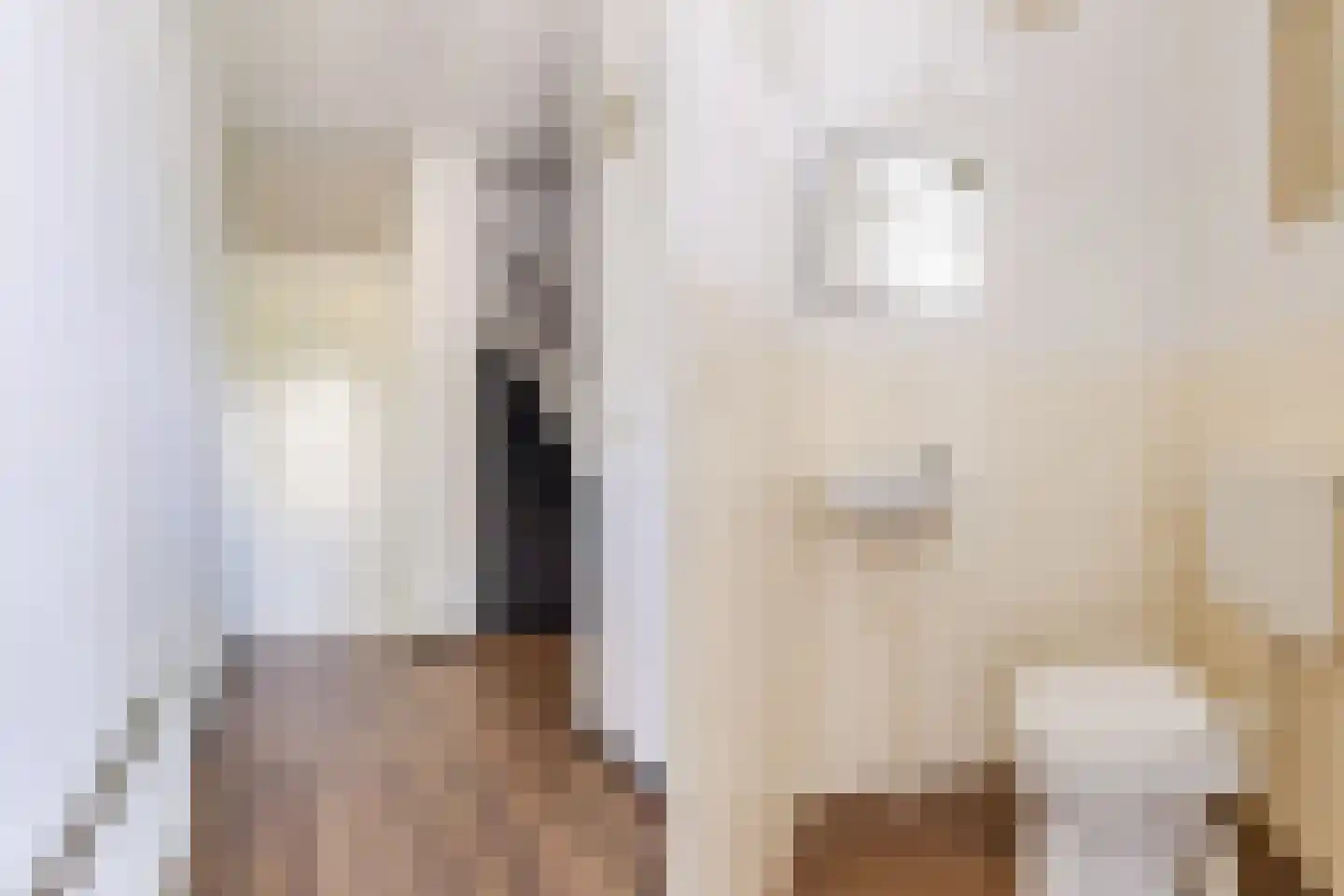 Spreeuwendonk 78 Veghel thumbnail 5