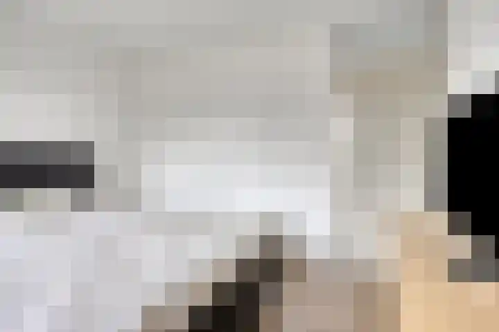 Spreeuwendonk 80 Veghel thumbnail 13