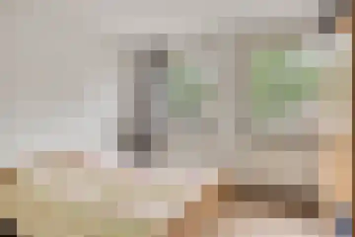 Spreeuwendonk 80 Veghel thumbnail 14