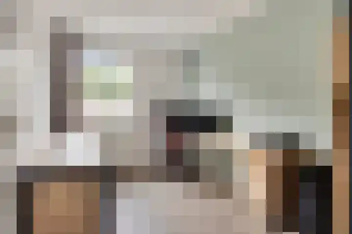Spreeuwendonk 80 Veghel thumbnail 16