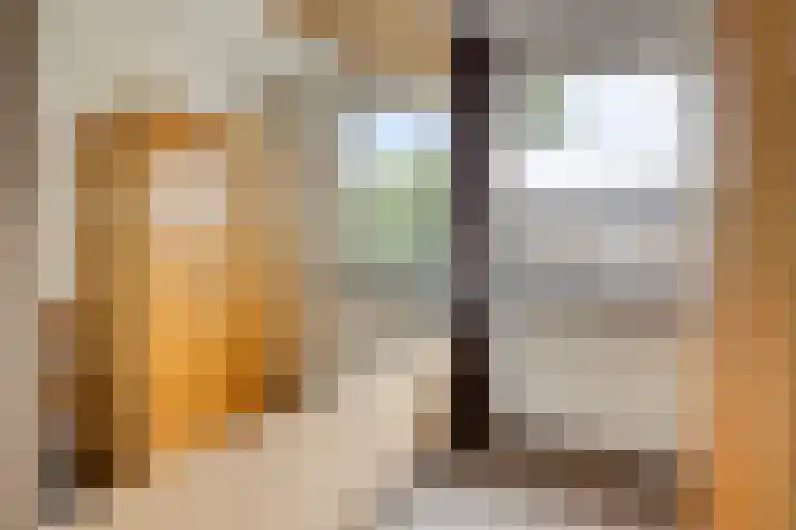 Spreeuwendonk 80 Veghel thumbnail 17