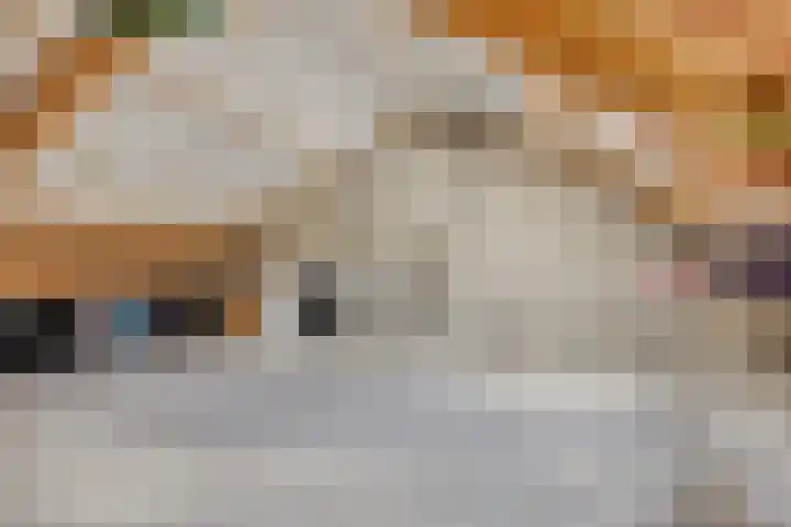 Spreeuwendonk 80 Veghel thumbnail 20