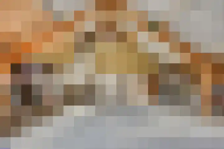 Spreeuwendonk 80 Veghel thumbnail 21