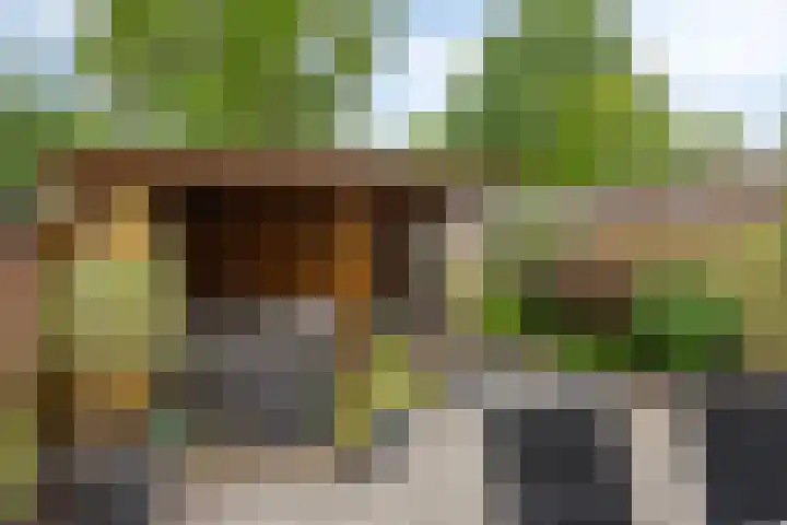 Spreeuwendonk 80 Veghel thumbnail 24