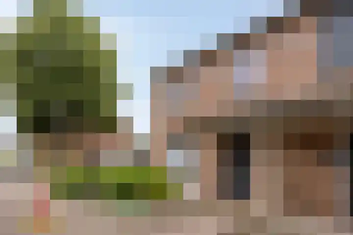Spreeuwendonk 80 Veghel thumbnail 26