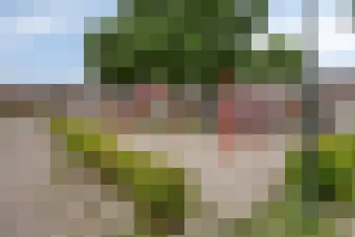Spreeuwendonk 80 Veghel thumbnail 27