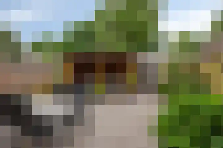 Spreeuwendonk 80 Veghel foto 3
