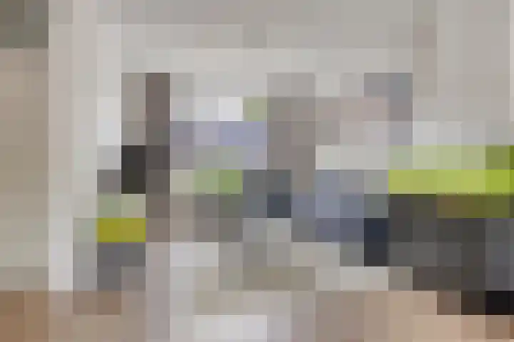 Spreeuwendonk 80 Veghel thumbnail 4