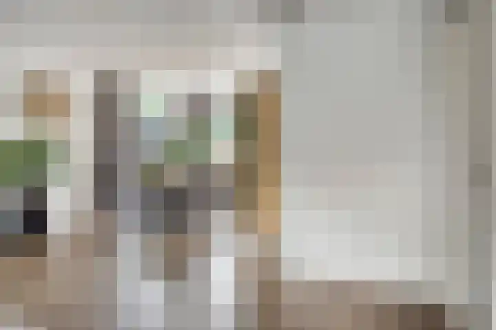 Spreeuwendonk 80 Veghel thumbnail 5