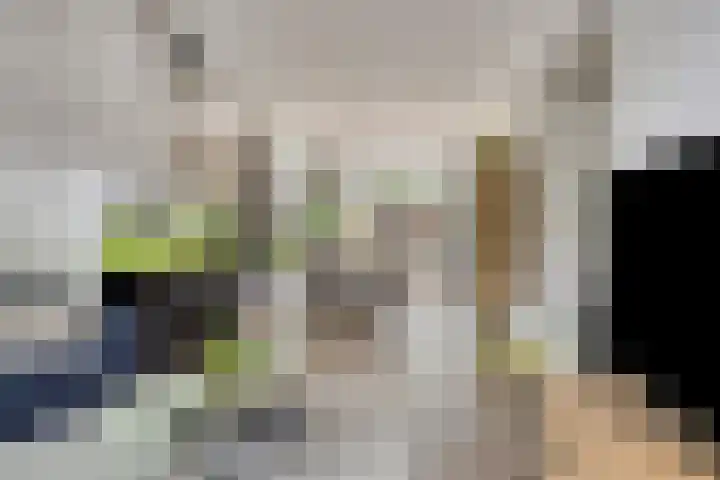 Spreeuwendonk 80 Veghel thumbnail 6