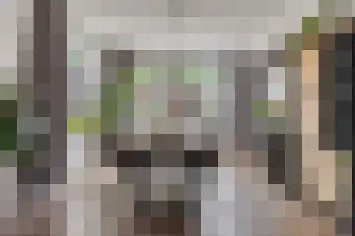 Spreeuwendonk 80 Veghel thumbnail 7