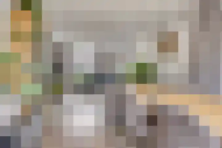 Spreeuwendonk 80 Veghel thumbnail 8