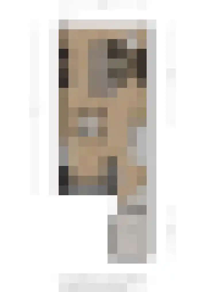 Spreeuwenhoek 13 Spijkenisse thumbnail 10