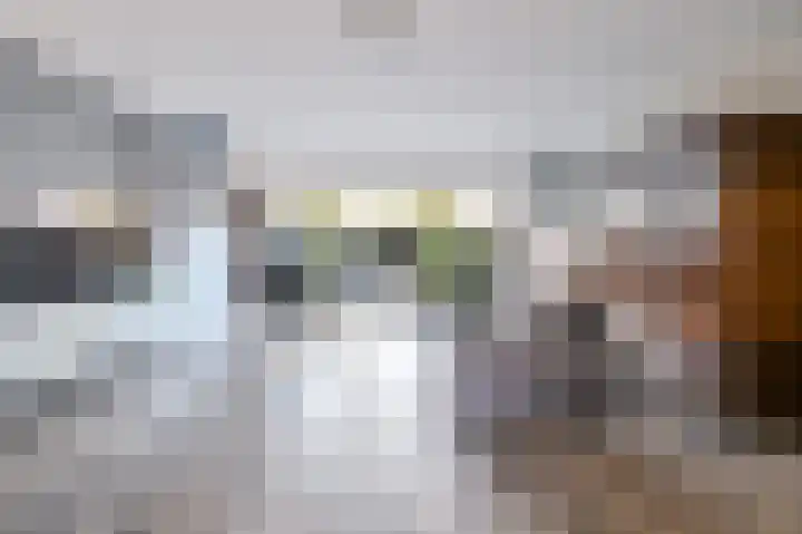 Spreeuwenhoek 13 Spijkenisse thumbnail 12