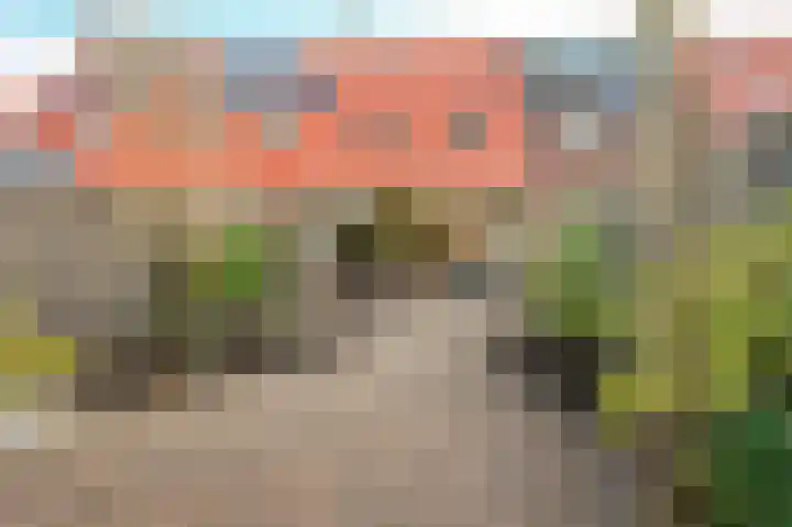 Spreeuwenhoek 13 Spijkenisse thumbnail 15
