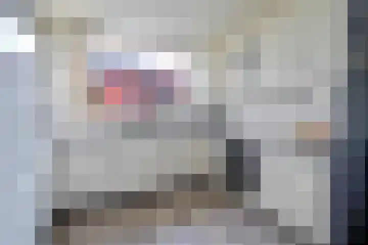 Spreeuwenhoek 13 Spijkenisse thumbnail 18