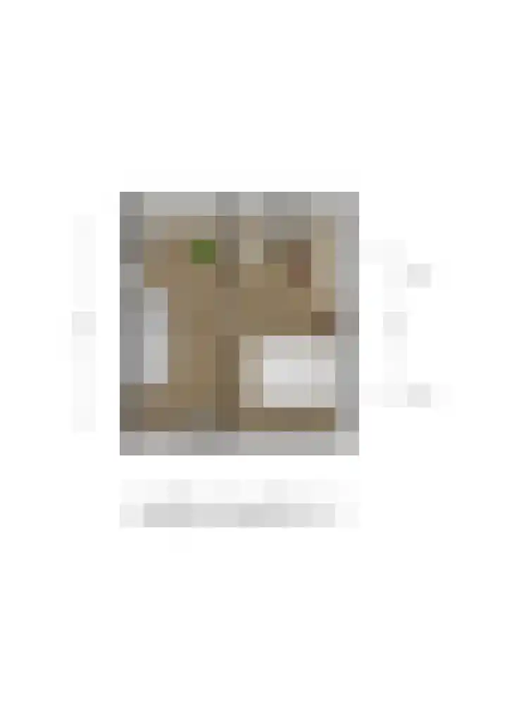 Spreeuwenhoek 13 Spijkenisse thumbnail 27