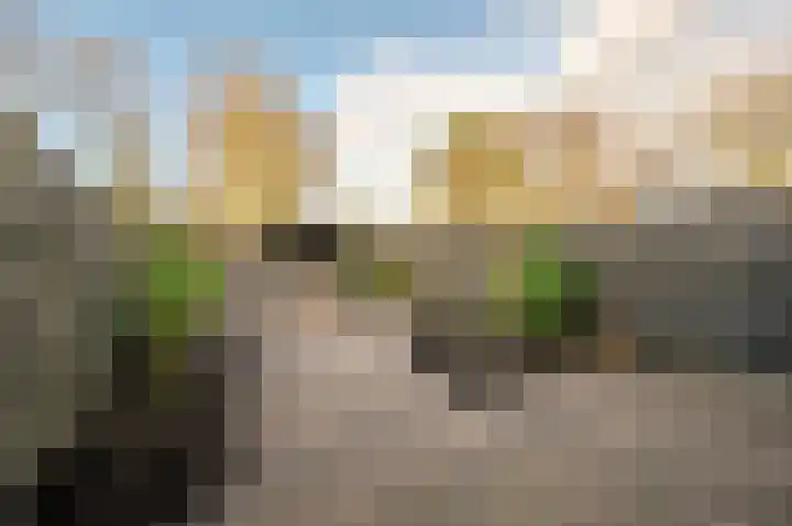Spreeuwenhoek 13 Spijkenisse thumbnail 5