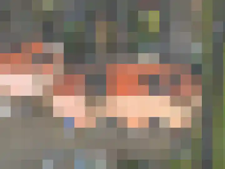 Spreeuwenhoek 13 Spijkenisse thumbnail 7