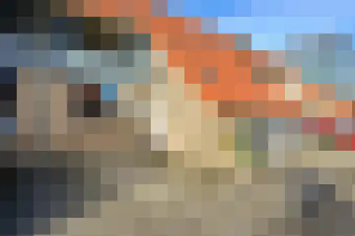Spreeuwenhoek 13 Spijkenisse thumbnail 9