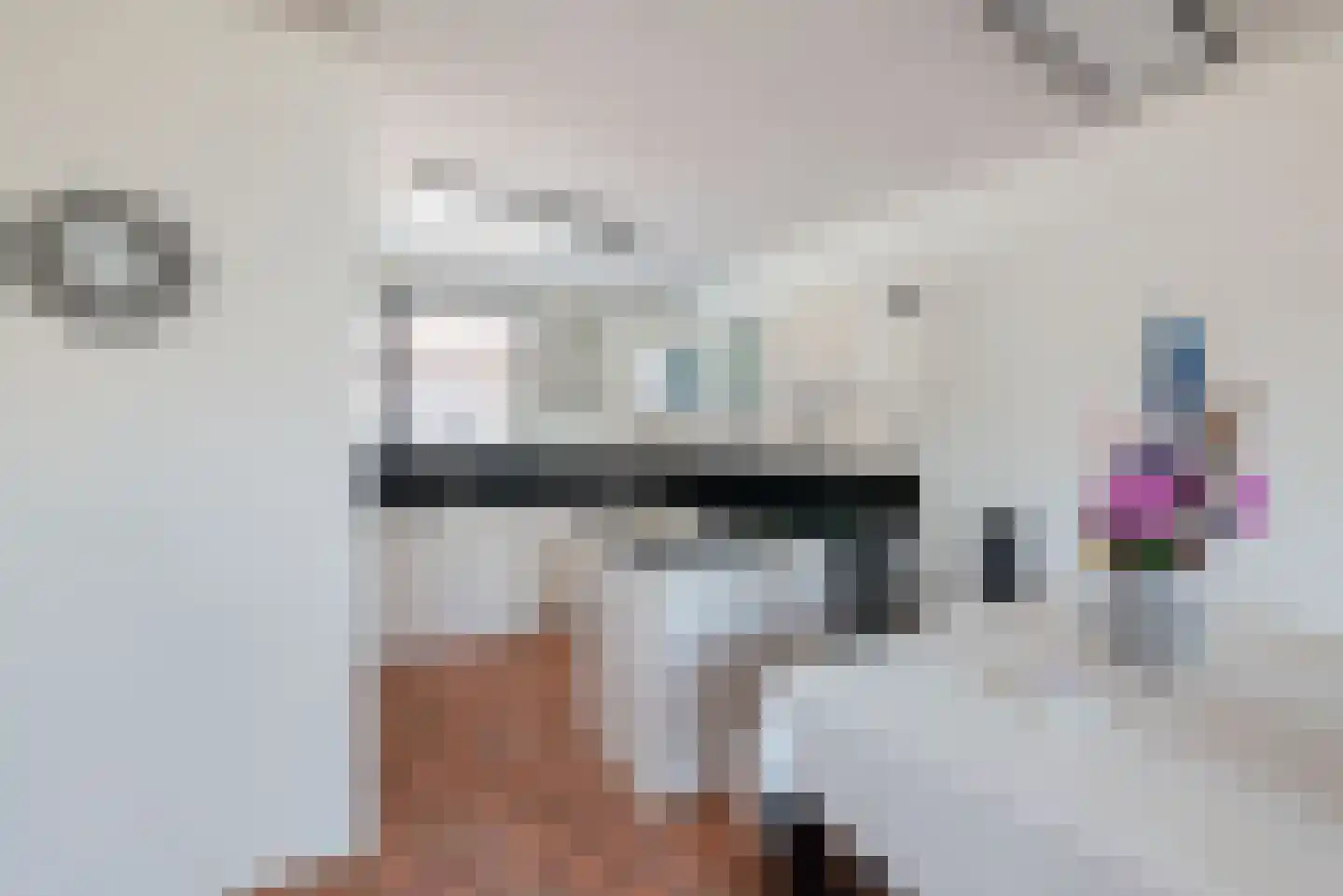 Spreeuwenhoek 14 Spijkenisse thumbnail 10