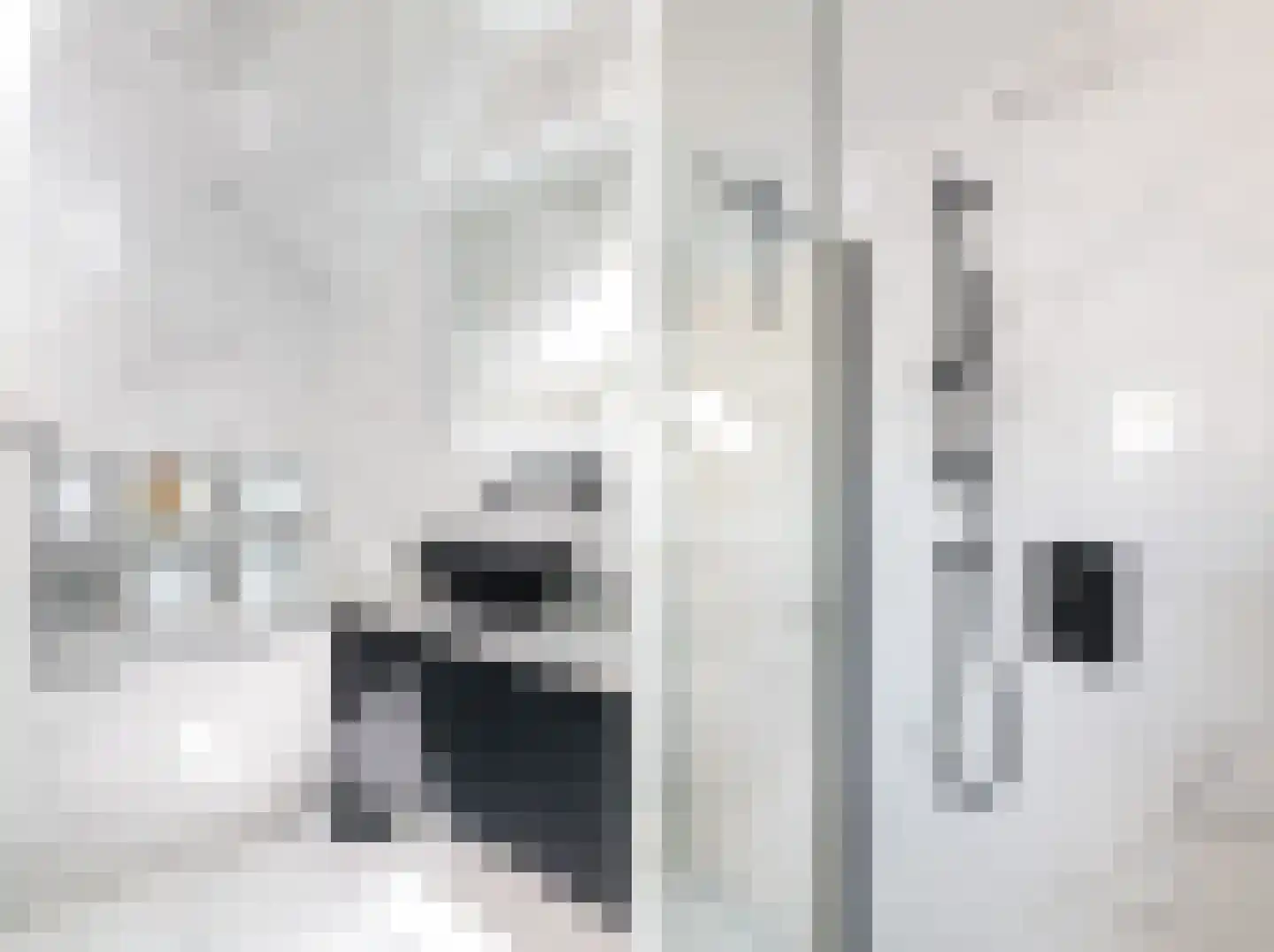 Spreeuwenhoek 14 Spijkenisse thumbnail 18