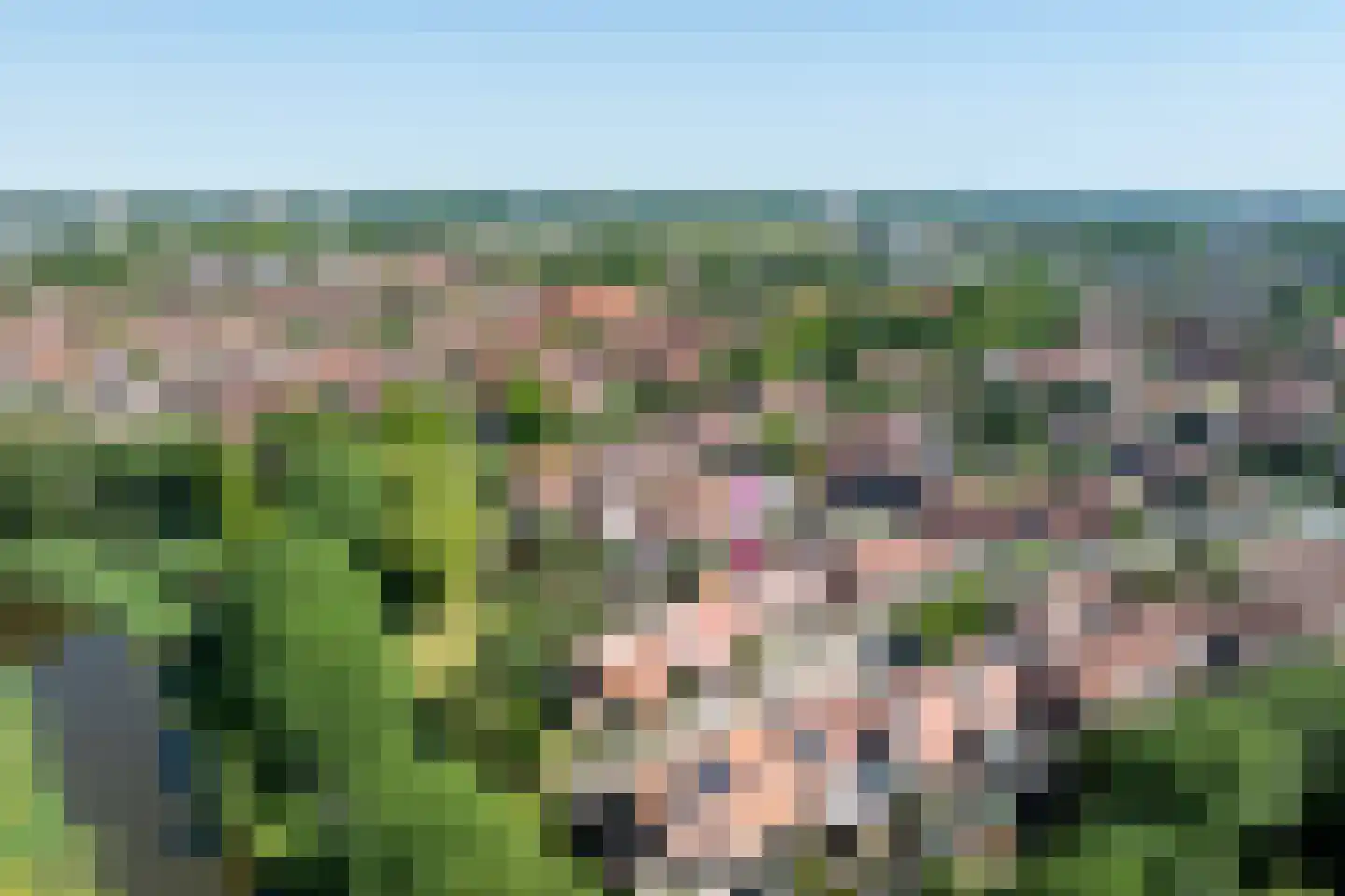 Spreeuwenhoek 14 Spijkenisse thumbnail 24