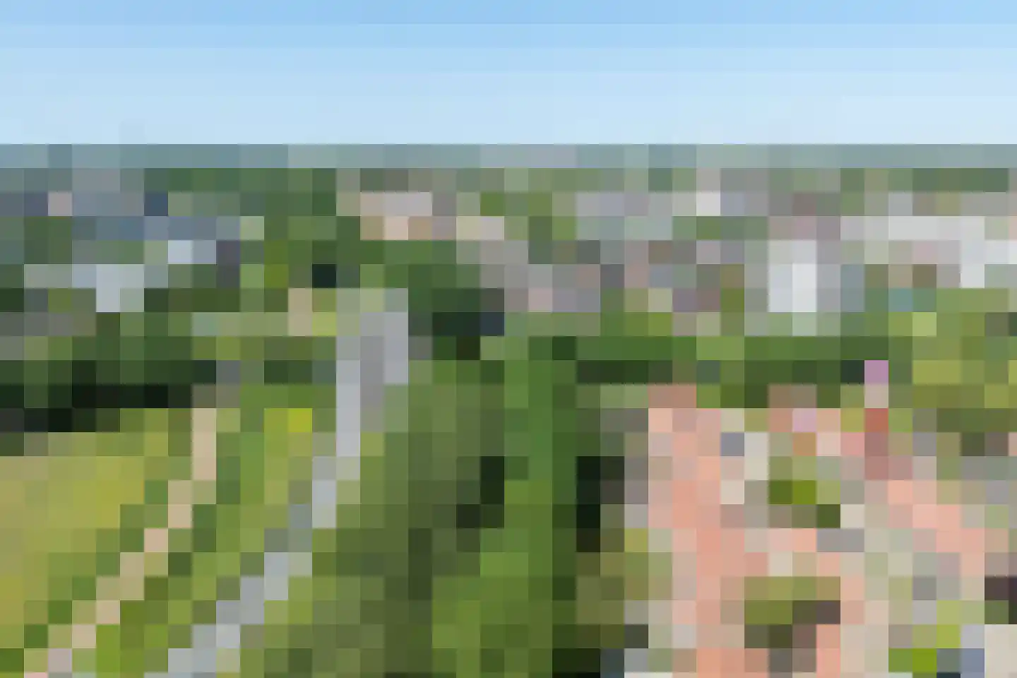 Spreeuwenhoek 14 Spijkenisse thumbnail 31