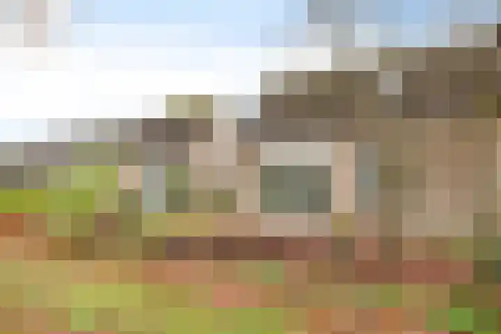 Spreeuwenhof 105 Varsseveld thumbnail 24