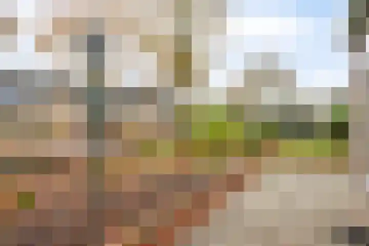 Spreeuwenhof 105 Varsseveld thumbnail 26