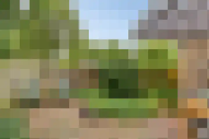 Spreeuwenhof 50 Varsseveld thumbnail 21