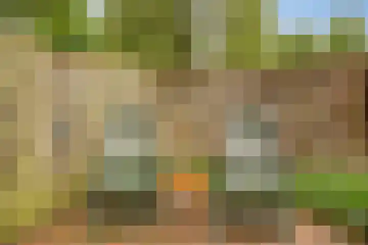 Spreeuwenhof 50 Varsseveld thumbnail 22